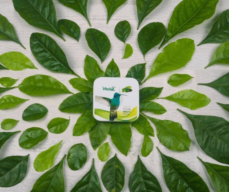 Te Verde Trabaja Tu Metabolismo - g a $71