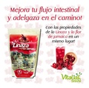 Linaza Flor Jamaica X 3 - g a $83