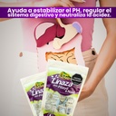 Linaza Pitaya Noni X 3 - g a $47