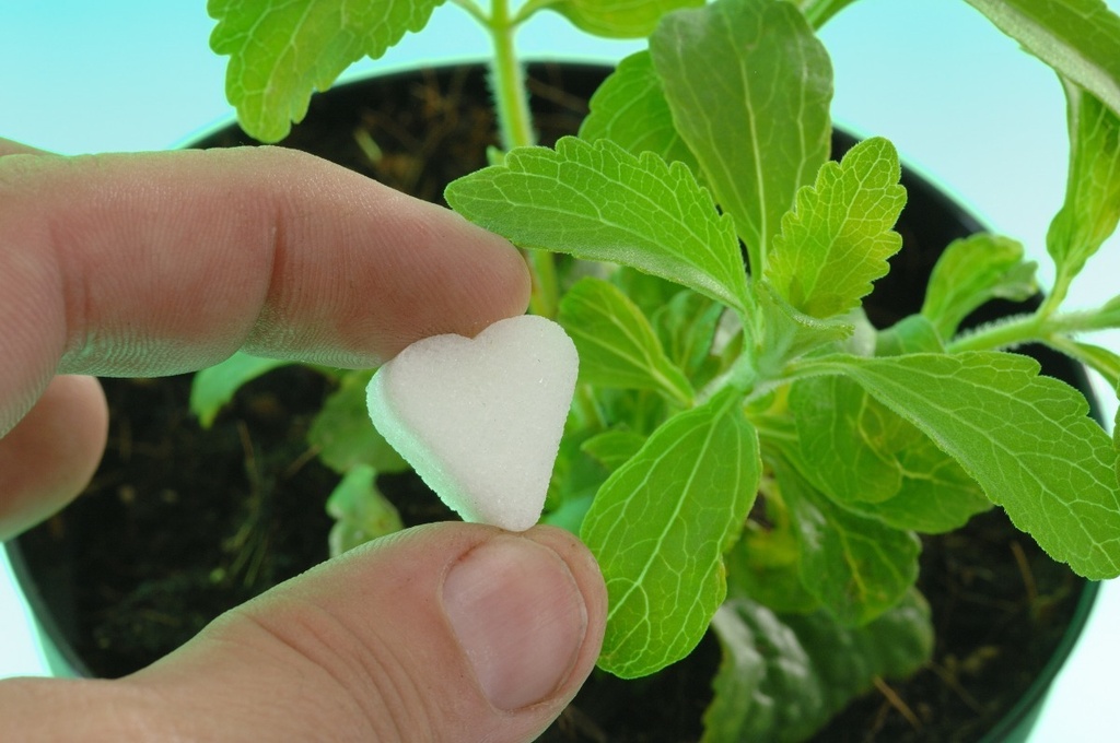 Hoja De Stevia Para Infusiones Por Ki - kg a $40000