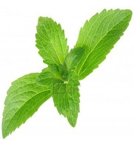 Hoja De Stevia Para Infusiones Por Ki - kg a $40000