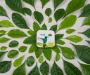 Te verde masticable pon a trabajar tu metabolismo
